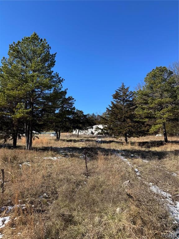 0 unit MAR25002550, Unincorporated, MO 65552 - photo 3