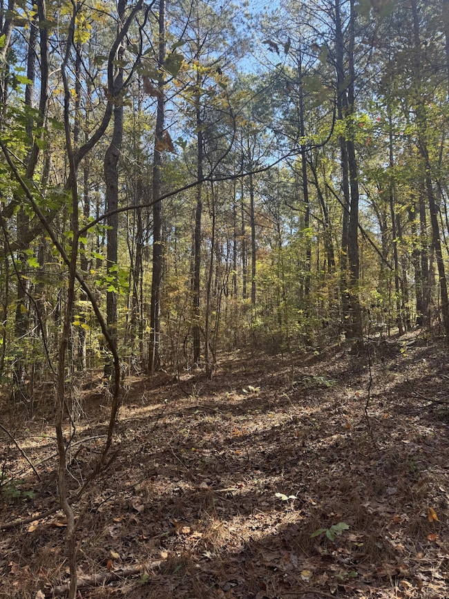 0 County Road 2350, Guntown, MS 38849 - photo 5