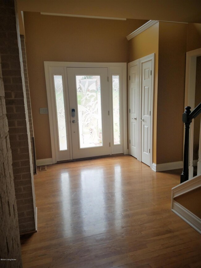 Black Iron foyer door 1