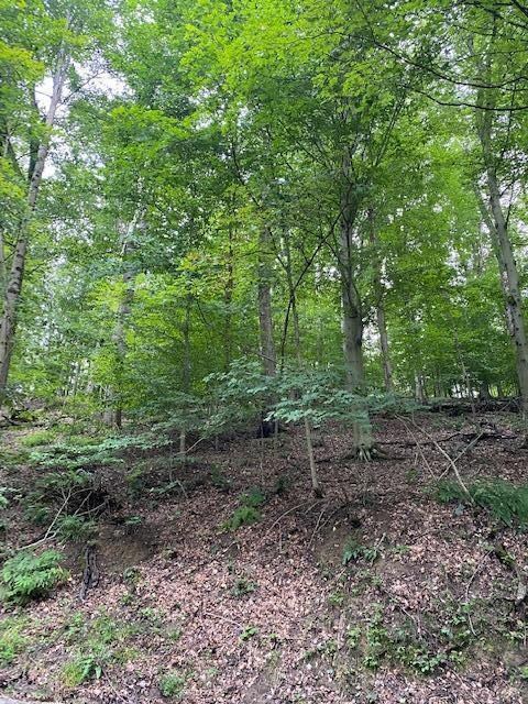 1256 Taos Ln, Sugar Grove, OH 43155 - photo 7