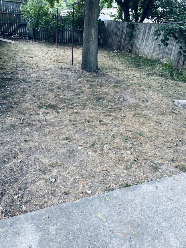 BACK YARD