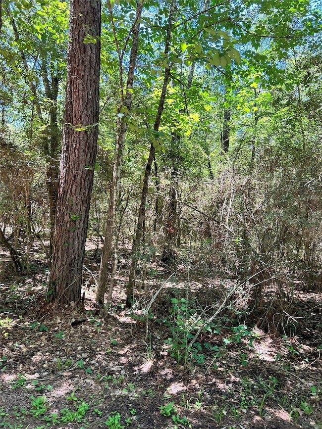 TBD Kelly Rd, Magnolia, TX 77354 - photo 4