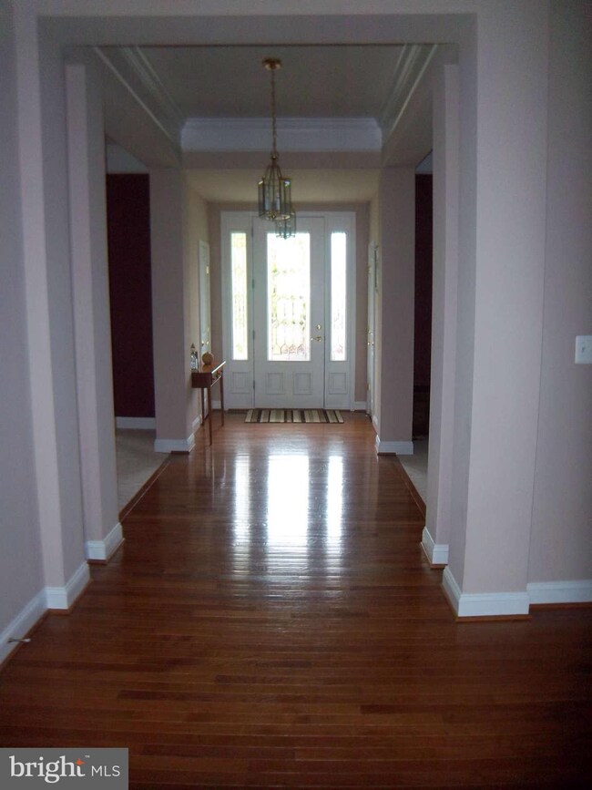 4081 Von Neuman Cir, Warrenton, VA 20187 - photo 4