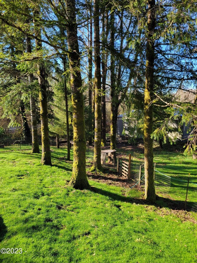 trees on property