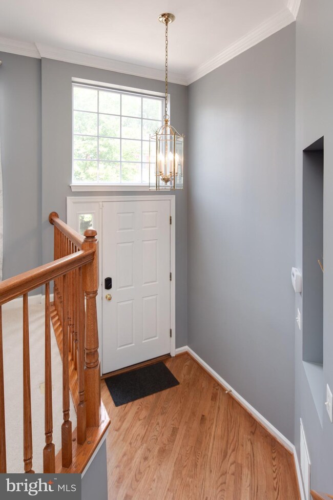 5313 Jesmond St, Alexandria, VA 22315 - photo 4