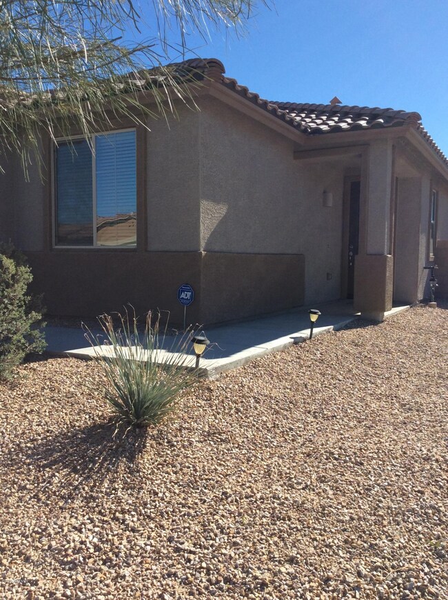 IMG_0061 front side view of red snapper