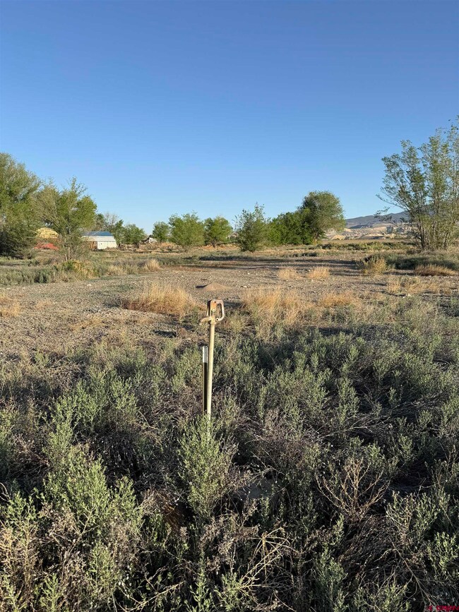 1475 and Tbd Highway 50, Delta, CO 81416 - photo 7