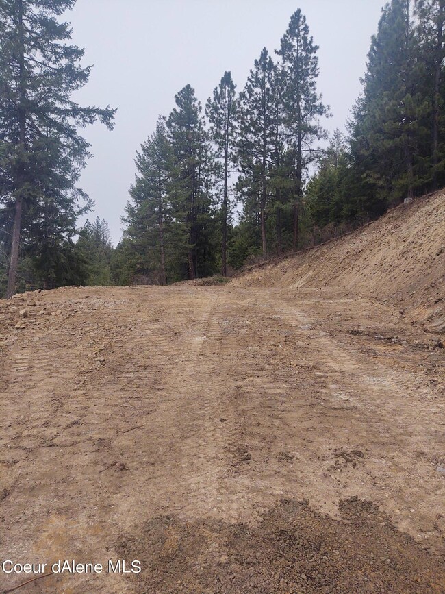 NKA Promontory Rd Lot 2, Harrison, ID 83833 - photo 5