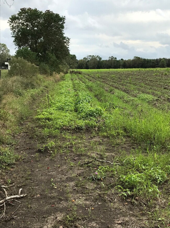 0 Fm 2977 unit 90030807, Fairchilds, TX 77469 - photo 7