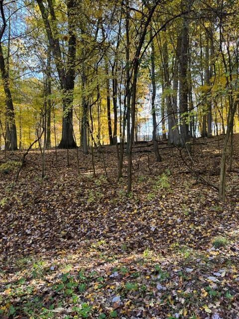 0 Grand View Dr unit 223036920, Howard Township, OH 43028 - photo 2