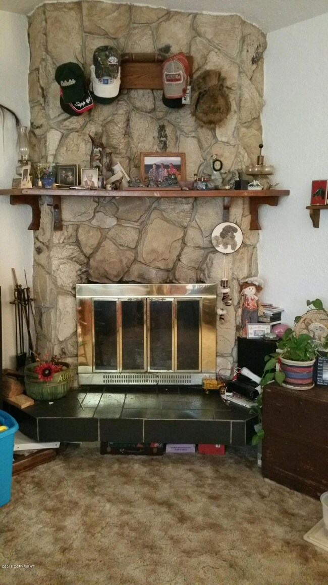 Fireplace.JPG