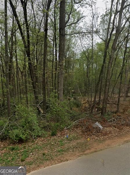 15 Guthrie Place, Stockbridge, GA 30281 - photo 4