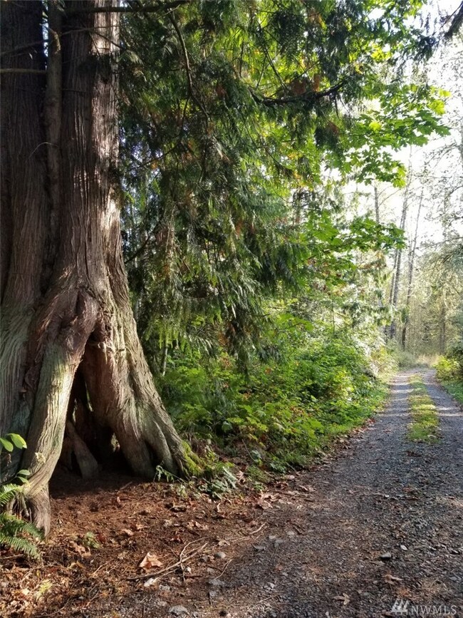 28620 Orting Kapowsin Hwy E, Graham, WA 98338 - photo 4