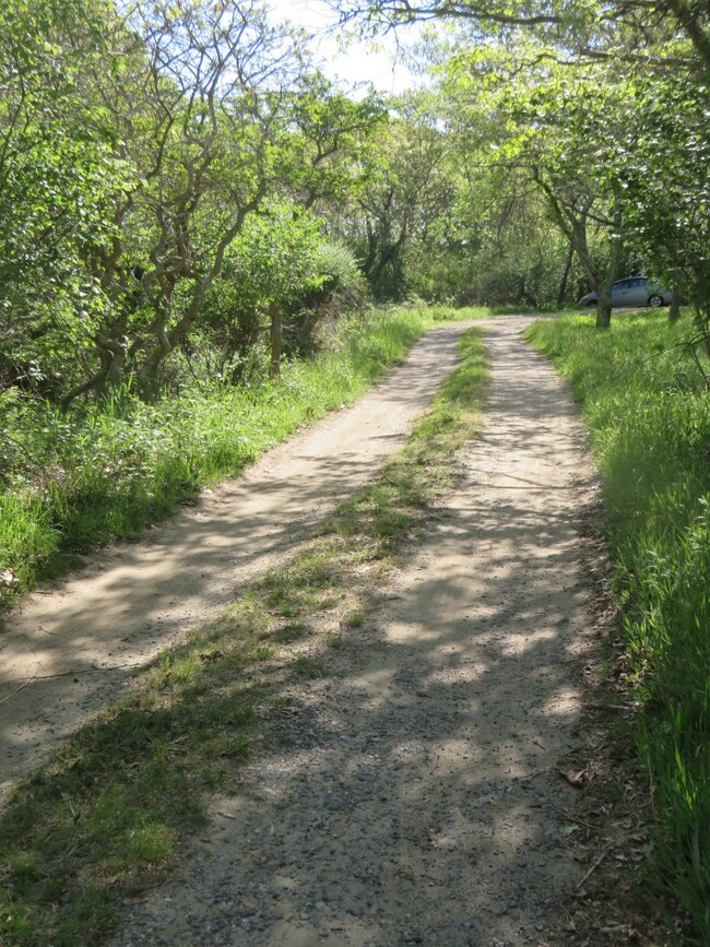 11B Rose Meadow Way, Aquinnah, MA 02535 - photo 4