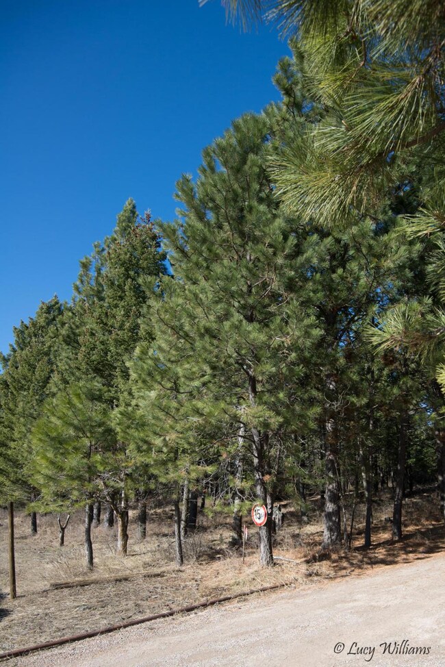 126 Pierce Ln, Big Fork, MT 59911 - photo 4