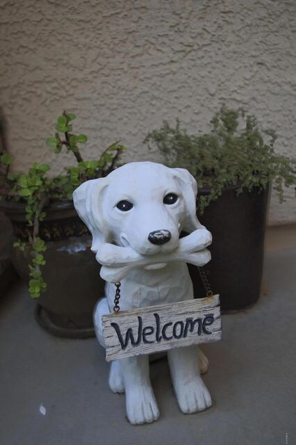 front welcome dog