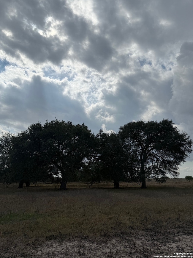 00 County Road 302, Runge, TX 78151 - photo 2