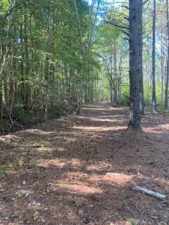 0 County Road 600, Booneville, MS 38829 - photo 5