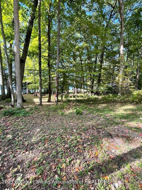 0 E Englewright Dr, Ensley Township, MI 49343 - photo 6