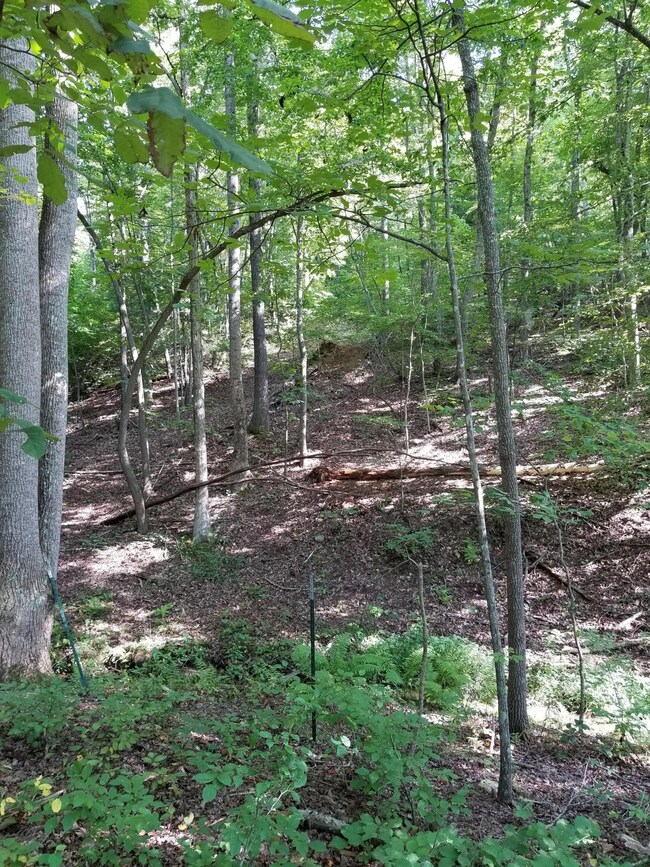7 Goode Mountain