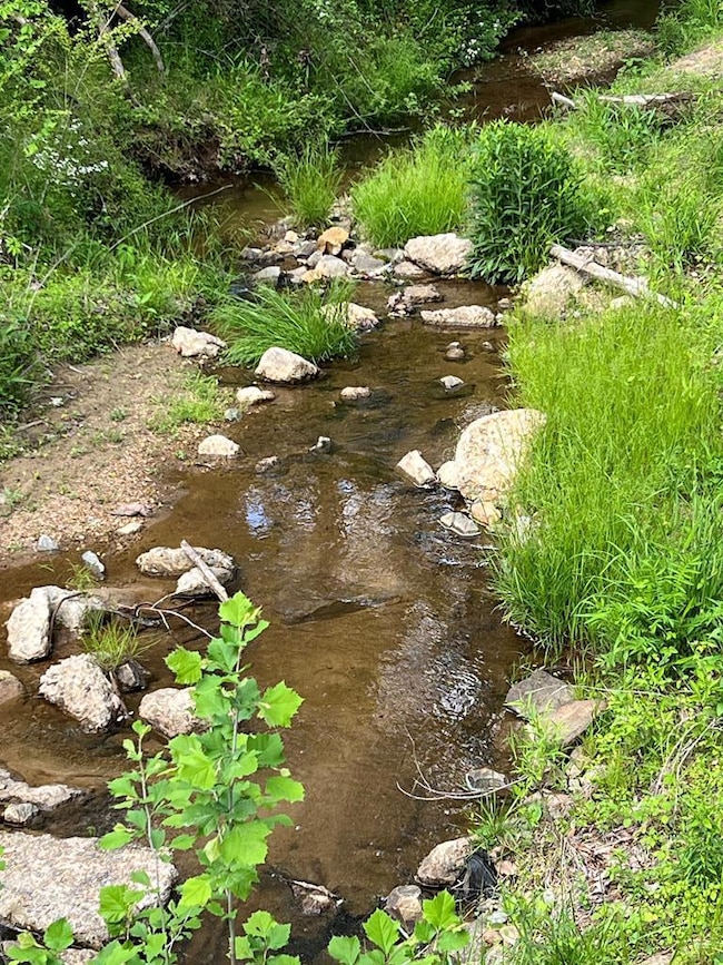 42.9 AC Brandon Rd, Chatham, VA 24531 - photo 6