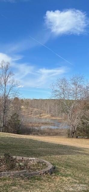 3081 Tatertown Loop, Nebo, NC 28761 - photo 4