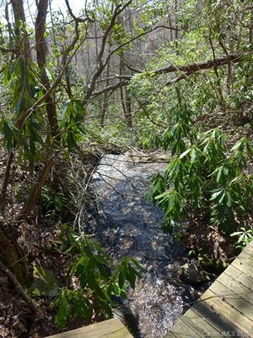 Bold waters on Wild Hog Creek.