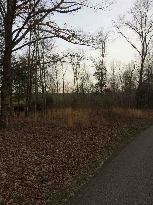 00 Hurricane Creek Rd, Linden, TN 37096 - photo 6