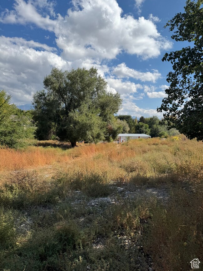 View of undeveloped land