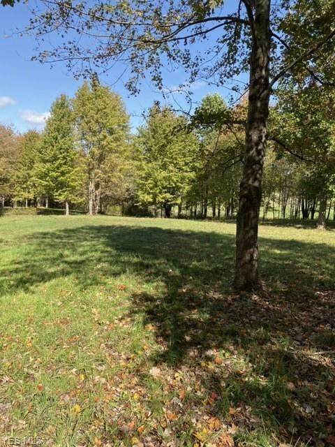 5361 Hatches Corners Rd, Conneaut, OH 44030 - photo 5