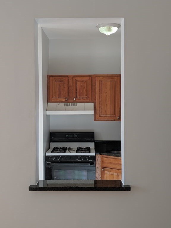 1177 Commonwealth Ave unit 3, Allston, MA 02134 - photo 3