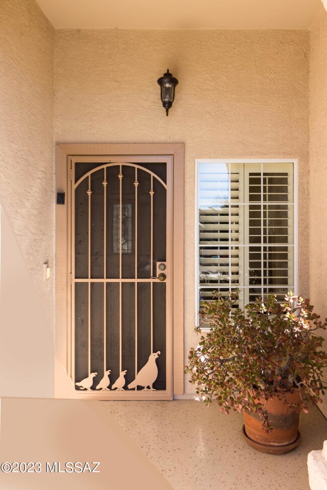 Front Security Door