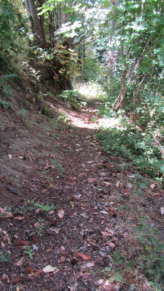 167 Marine Dr, Stanwood, WA 98292 - photo 3