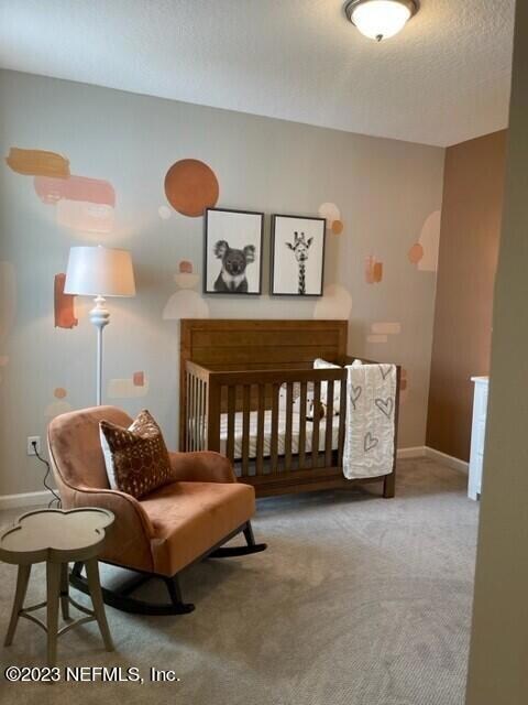 Coral bed 2