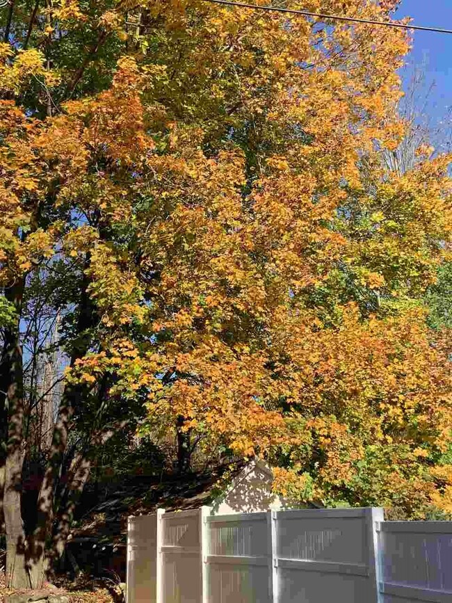 16 Watson St, Pittsfield, NH 03263 - photo 5