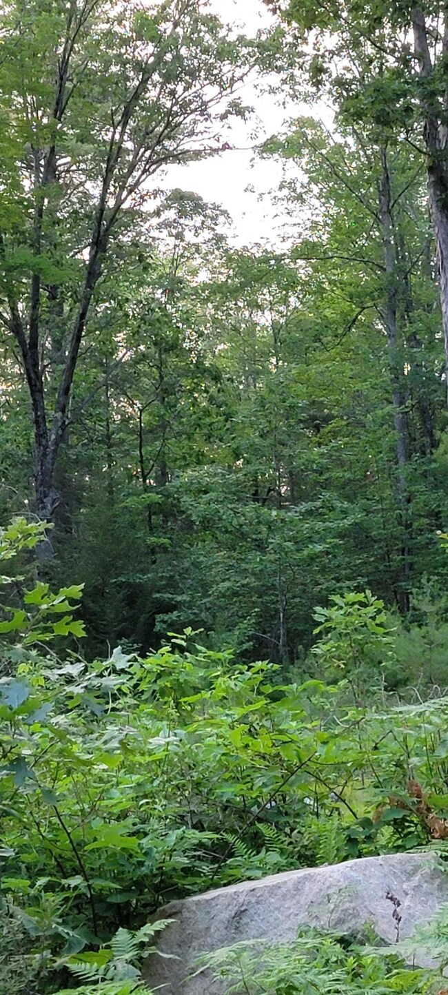 00 Off Earls Rd, South Berwick, ME 03908 - photo 7