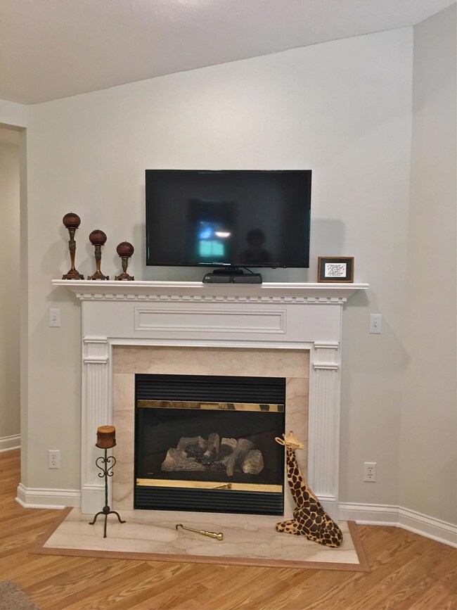 Gas Fireplace