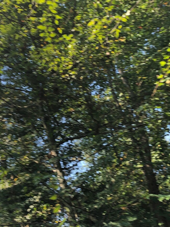 Lot 1 Crossno, Cleveland, TX 77328 - photo 4