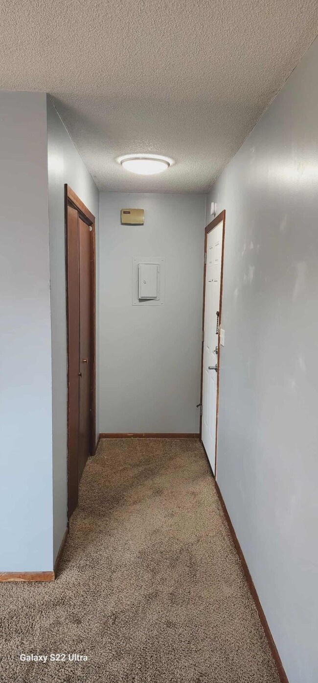 102 Lake Ave S unit 4, Spicer, MN 56288 - photo 6