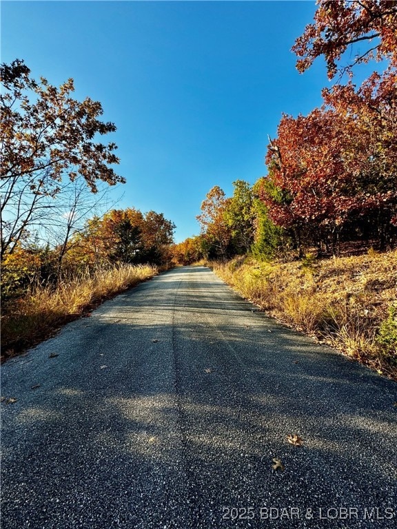 lot 17 Lake Horizons Rd, Gravois Mills, MO 65037 - photo 3