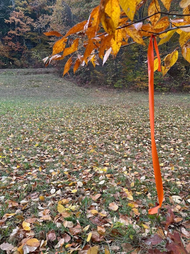 476 Missing Link Rd, Springfield, VT 05156 - photo 7