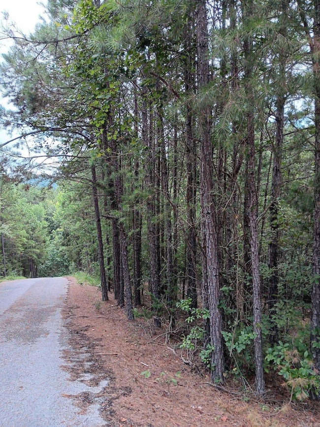 Lot 14 Thompson Cove Ln, Shirley, AR 72153 - photo 4