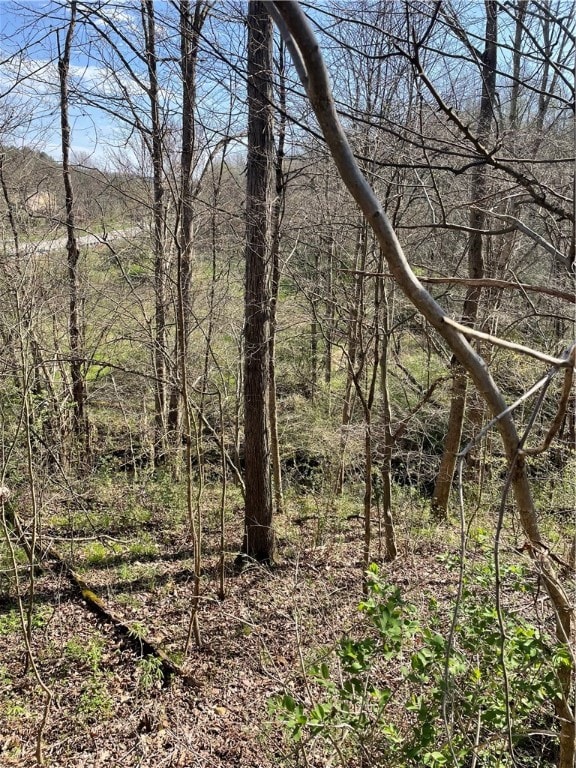 SR166 Thompson 1 Rd, New Salem, PA 15468 - photo 4