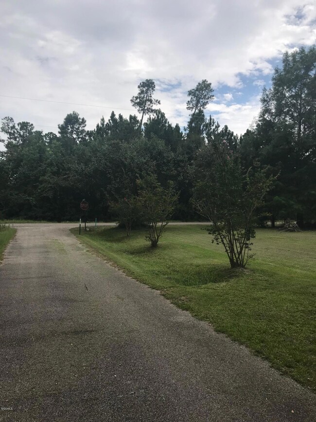 image1 (19)