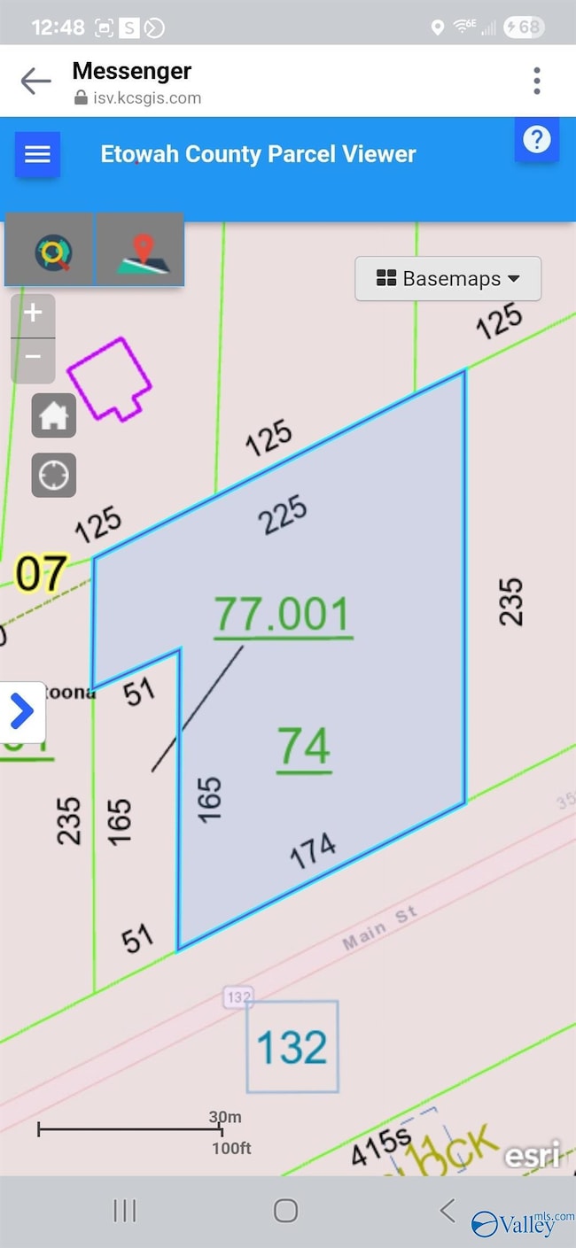 .77 acres Main St, Altoona, AL 35952 - photo 6