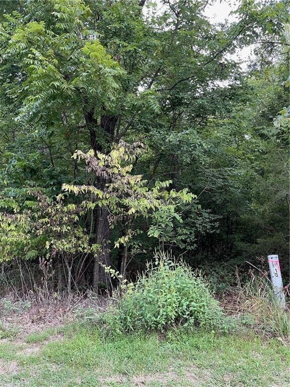 Lot 24 Block 3 Pennine Ln, Bella Vista, AR 72714 - photo 6