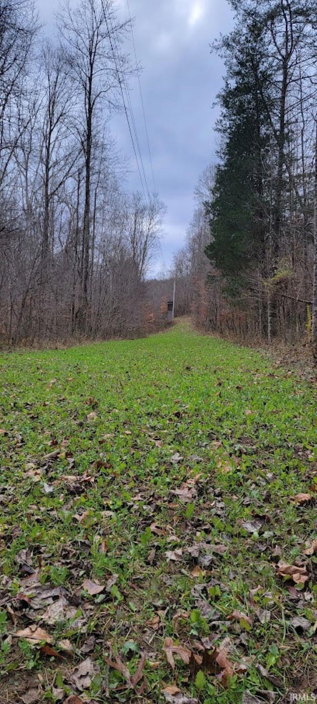 62.2 Acres Blanton Rd, Spice Valley Township, IN 47446 - photo 5