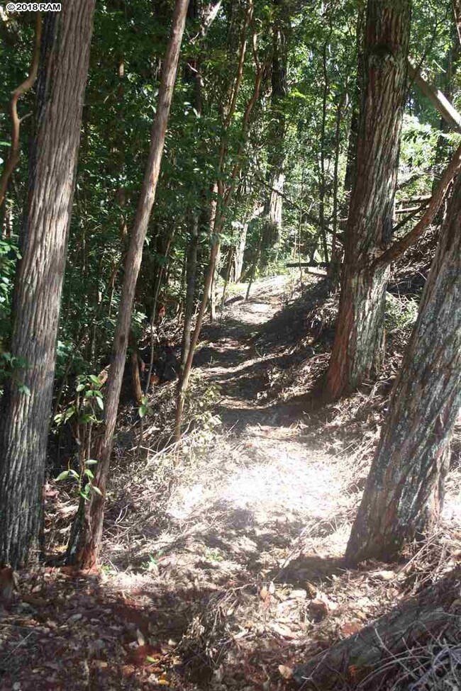 125 Ehu Rd unit E, Makawao, HI 96768 - photo 7