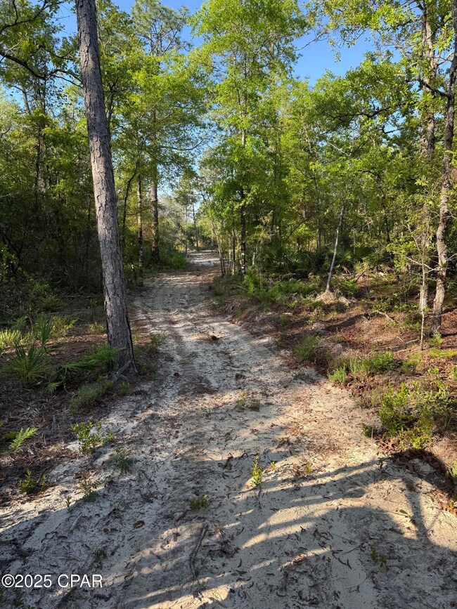 516 Goshun Creek Rd, Chipley, FL 32428 - photo 6