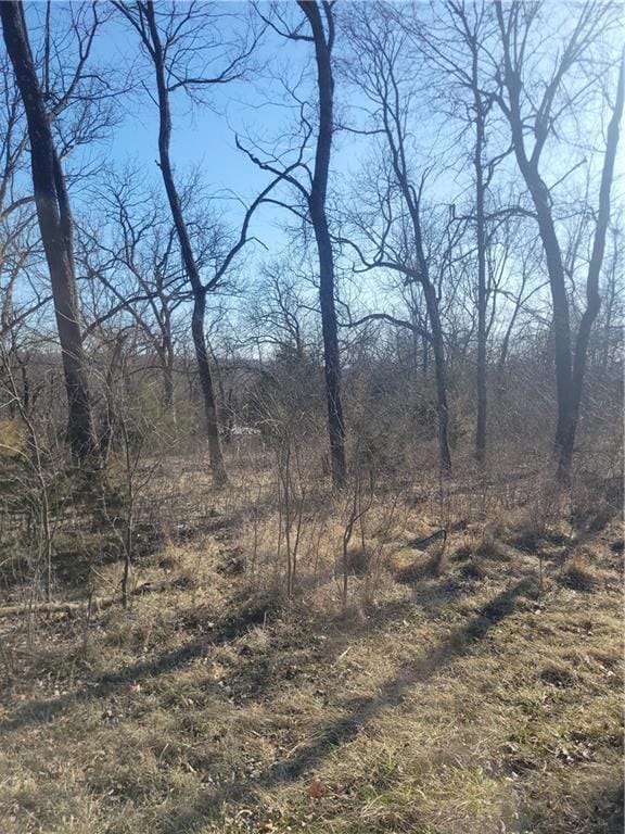 102 Maple Dr, Linn Valley, KS 66040 - photo 5